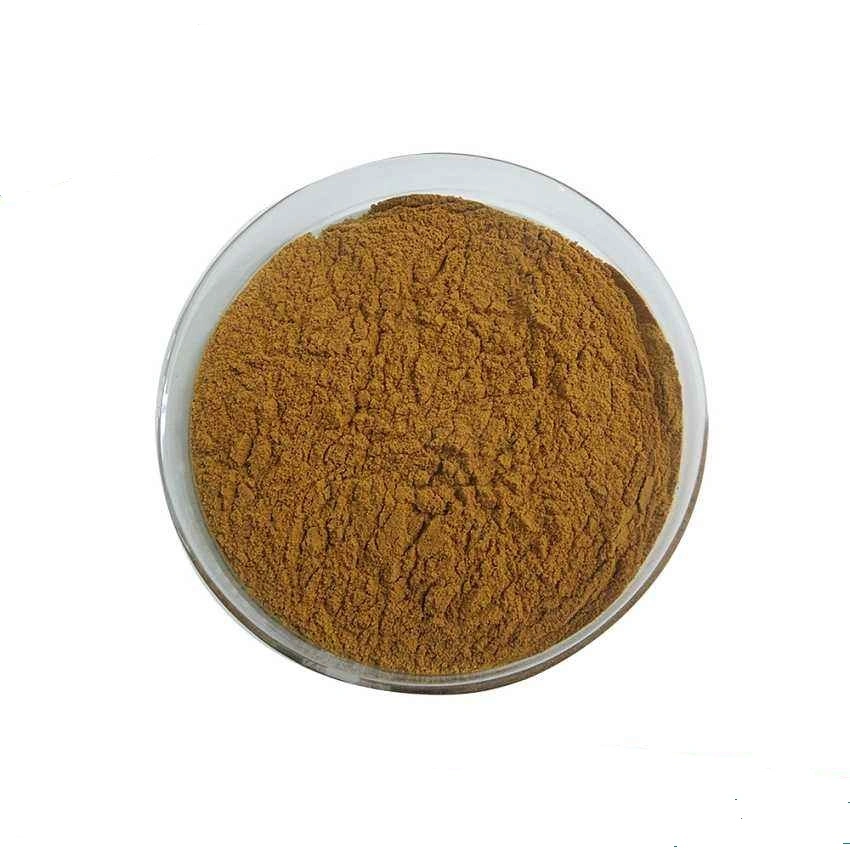 Pure Natural Dandelion Extract / Dandelion Root Extract