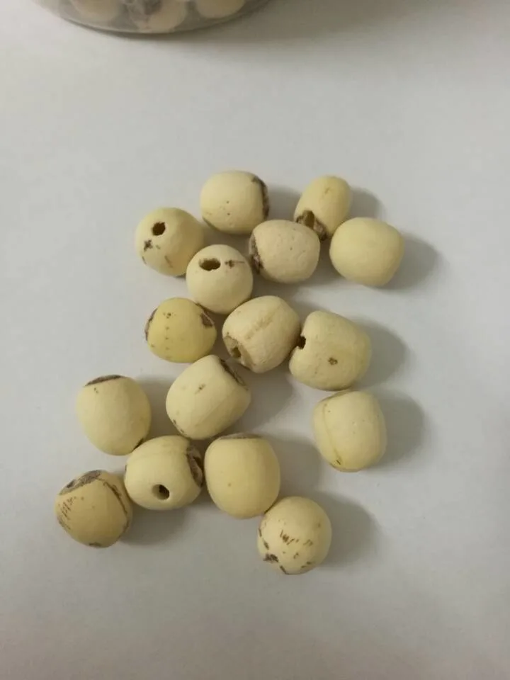 Organic Health Herbal Tea Dry Seeds Bowl Lotus Flower Tea