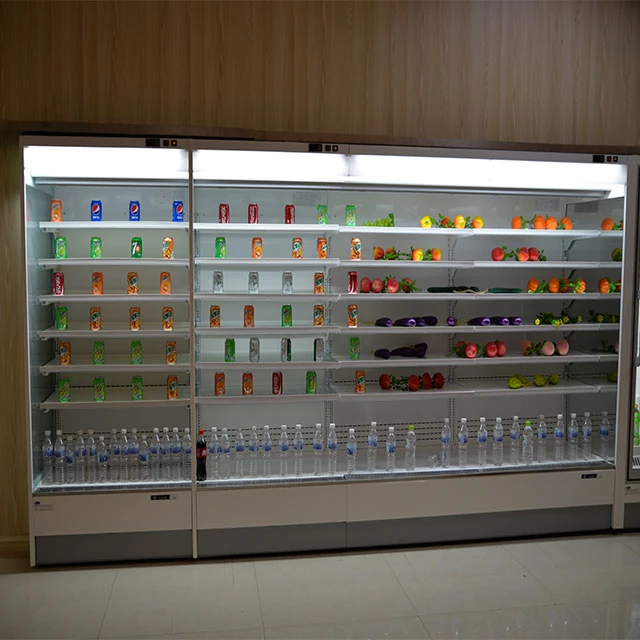 Food Cold Showcase Display Commercial Refrigerators for Convenience Store and Mini Shop