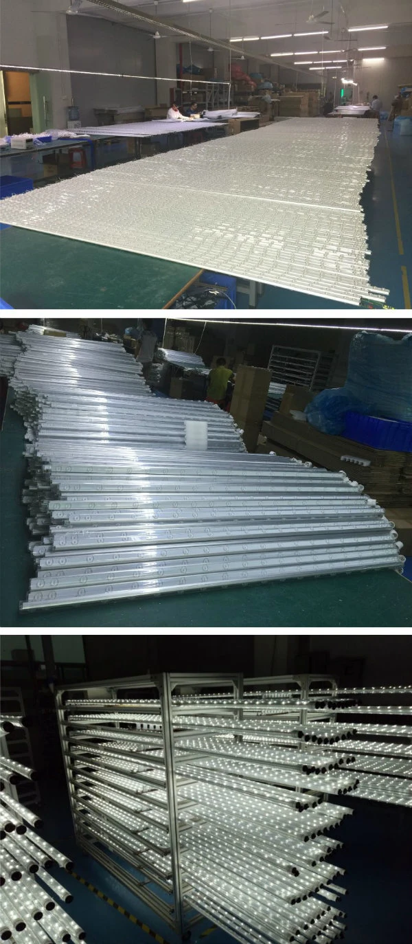 5FT 24W T8 ETL 180 Degree LED Sign Tube for Lighting Box