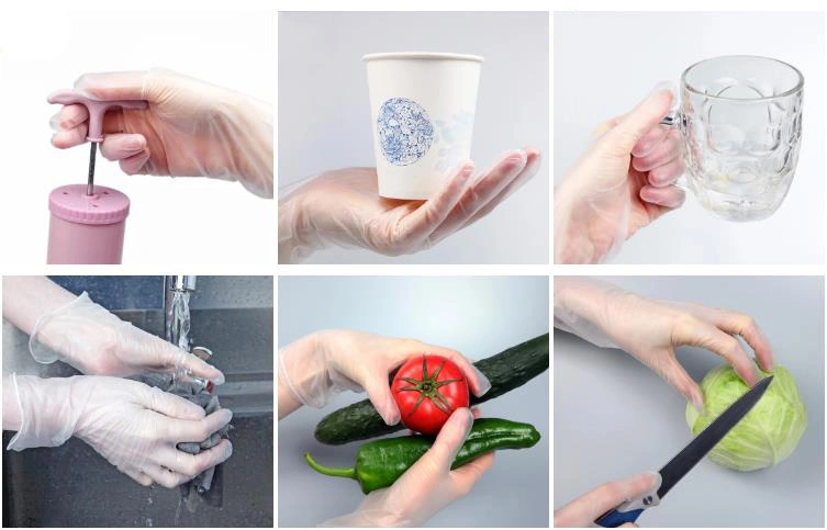 Disposable Hand Gloves Manufacturers Powder Free Vinyl Gloves