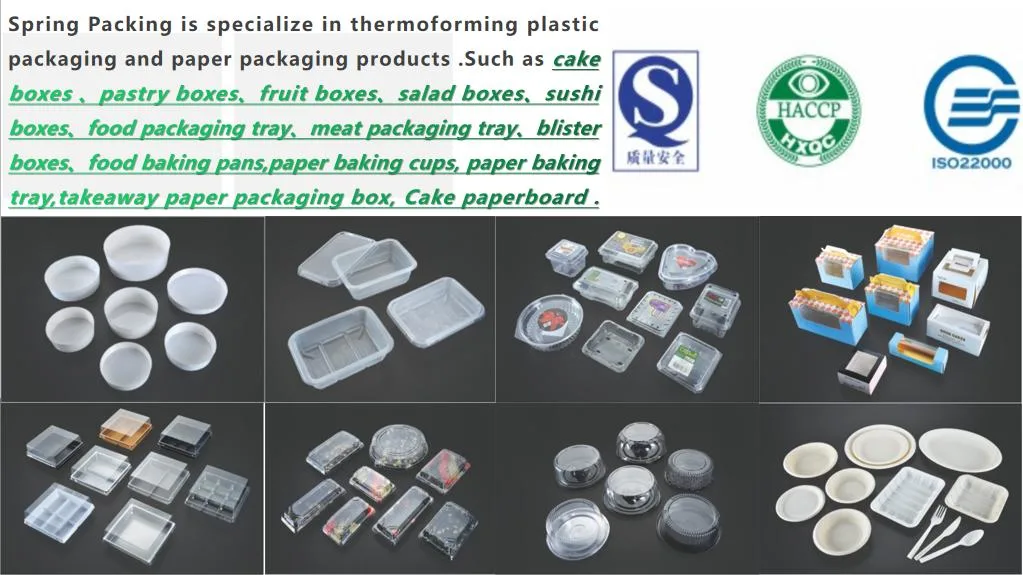 Manufacture Supply Custom Plastic Rectangular Transparent Plastic Cake Box Container Food Packing Boxes Packaging