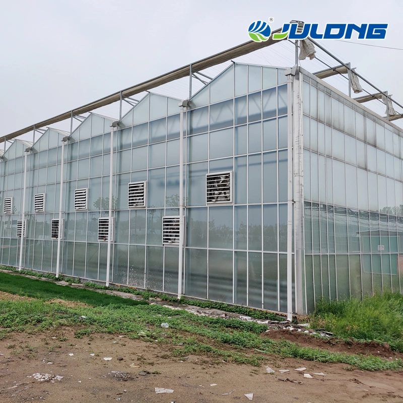 Agricultural Hydroponics System Greenhouse Multi-Span Polycarbonate Sheet Greenhouse