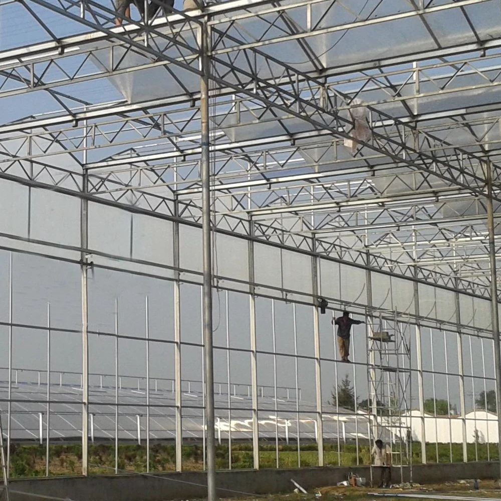 Polycarbonate Sheet PC Sheet Greenhouse for Tomato Cucumber Watermelon