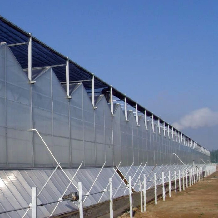 Polycarbonate Sheet PC Sheet Greenhouse for Tomato Cucumber Watermelon