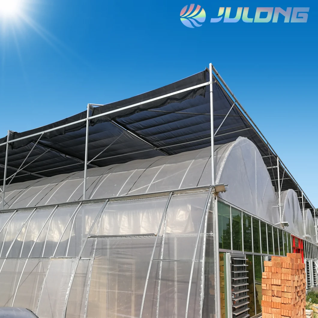 PC Sheet Agriculture Plastic Film Glass Sheet Multi-Span Polycarbonate Greenhouse