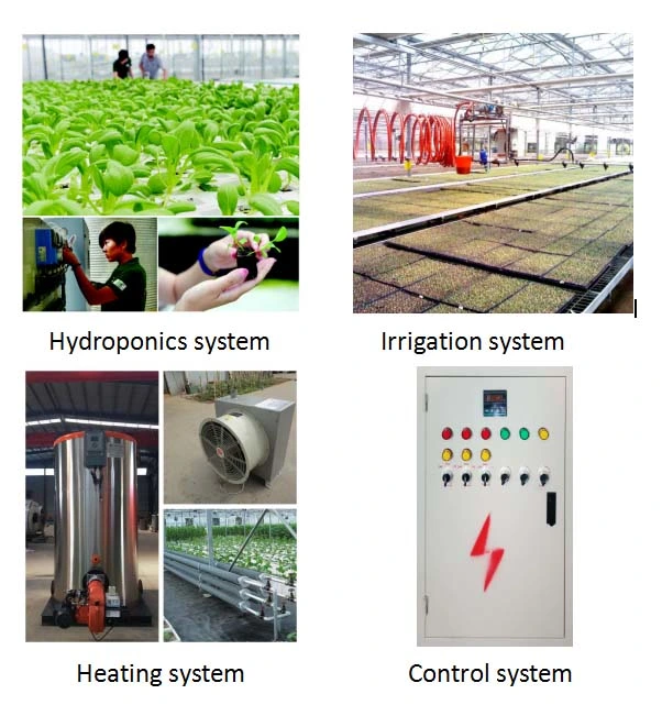 Multi-Span PC Sheet Garden Greenhouse with Hydroponic Growing Systems