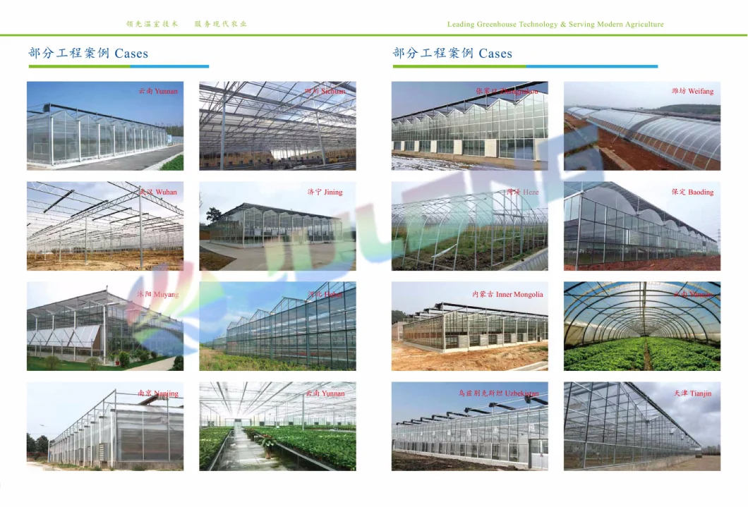 PC Sheet Agriculture Plastic Film Glass Sheet Multi-Span Polycarbonate Greenhouse