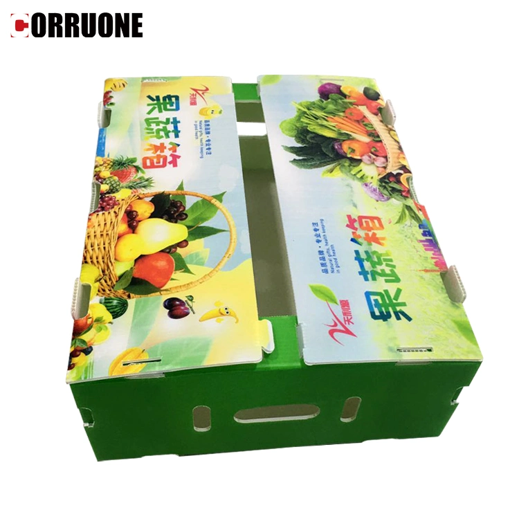 Corflute Coroplast Corrugated Plastic Pallet Sheet/Board Dividers Packaging Boxes fruit and Vegetable Seafood Boxes