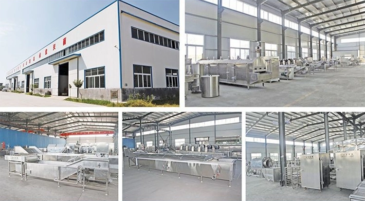 Ultra Low Temperature Liquid Nitrogen Freezer Factory Price