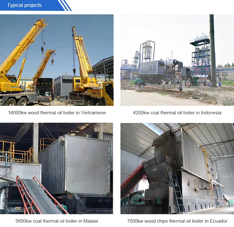 Coal Biomass Fired Thermal Oil Boiler Heating Systems