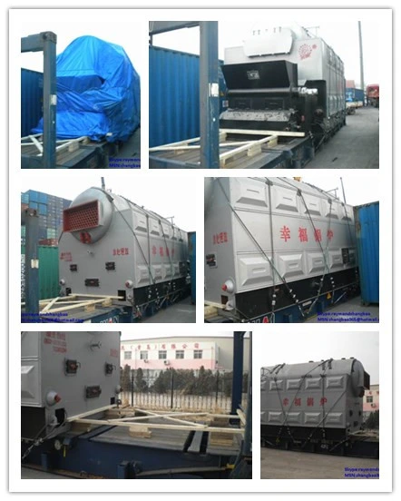 Dzl Series Chain Grate Coal Fired Steam Boiler