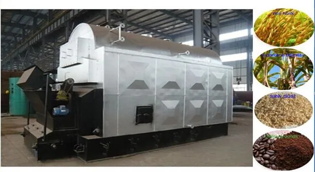 Coal and Biomass Fuel Mixed Firing Chain Grate Steam Boiler