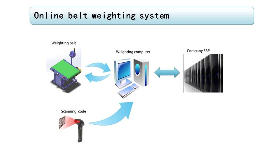 High Precision Coal Conveyor Belt Loadmeter Weighting System