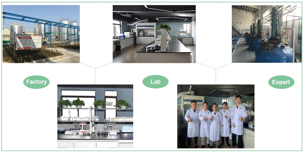 Sept A2 Series Anionic Polyacrylamide for Petrochemical Industry Wastewater Treatment