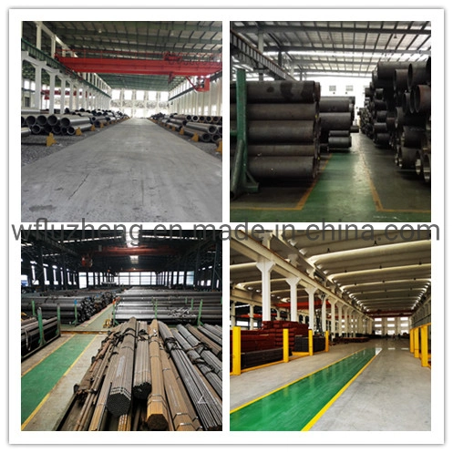 China Factory Economizer Boiler Cooling Spiral Steel Finned Tube ASME SA213 T11 T12 T22 T9