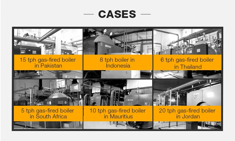 Natural Gas Steam Boiler to Generate Steam Used in Industry