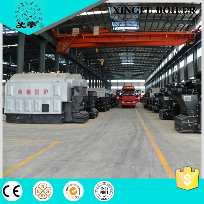 Dzl Series Chain Grate Coal Fired Steam Boiler