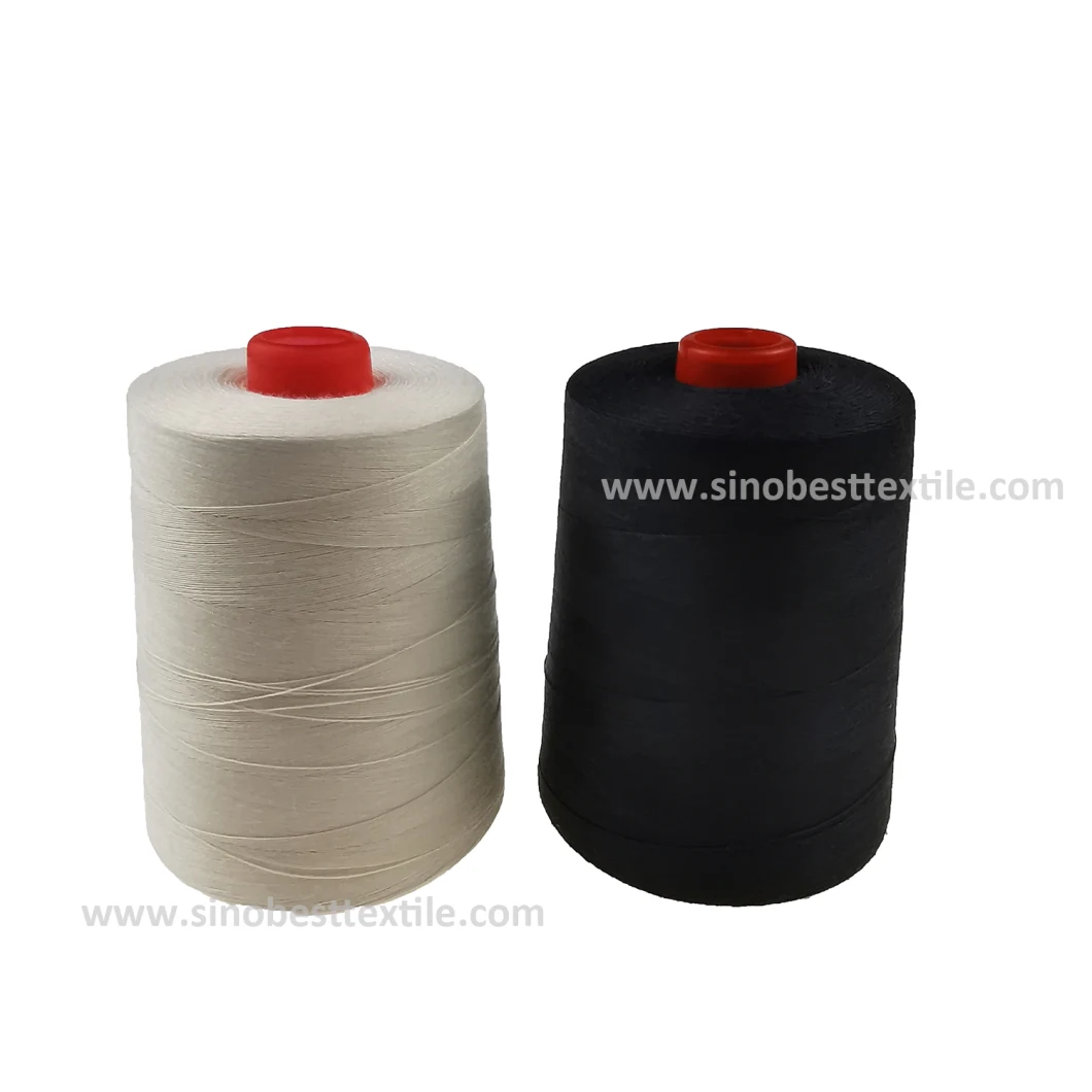 PARA-Aramid Fire-Retardant Sewing Thread Aramid 1414= Nomex