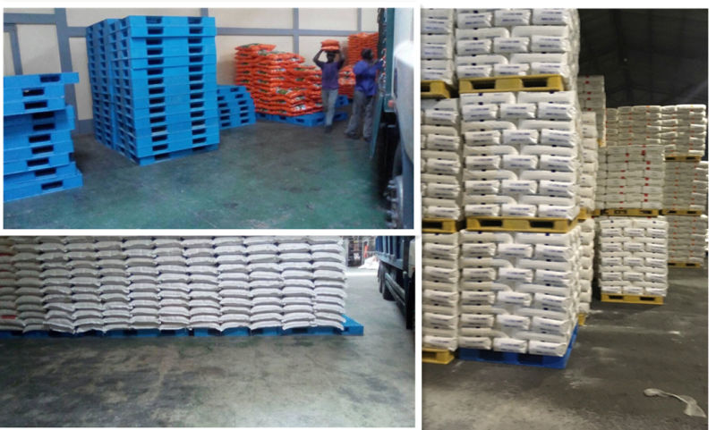 Heavy Duty Racking Forklift Plastic Pallet for Storage
