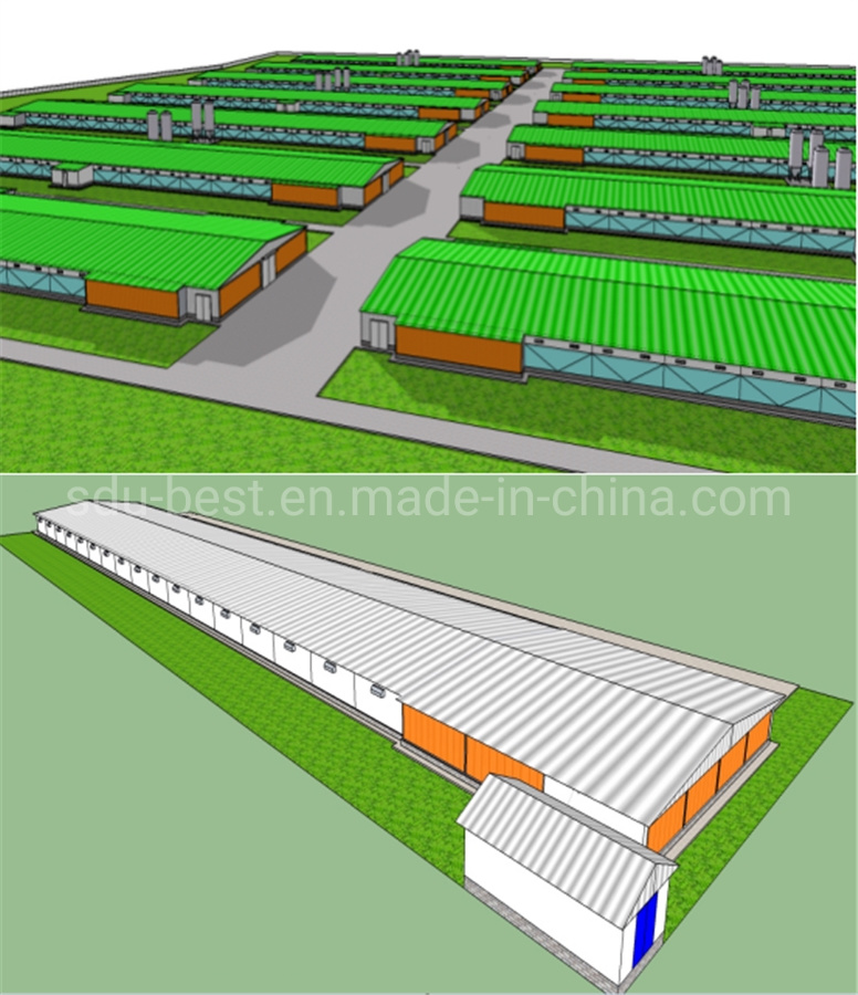 2021 Complete Controlled Automatic Poultry Farm Equipments for Broiler Chicken