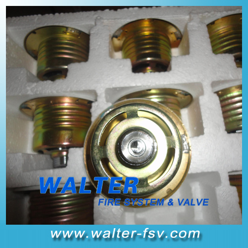 Brass Concealed Fire Sprinklers