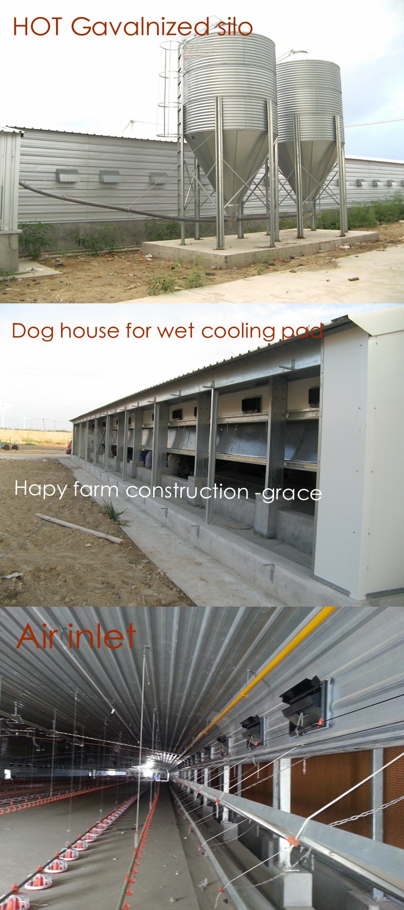 Prebab Chicken Shed with Automatic Controlled Equipments