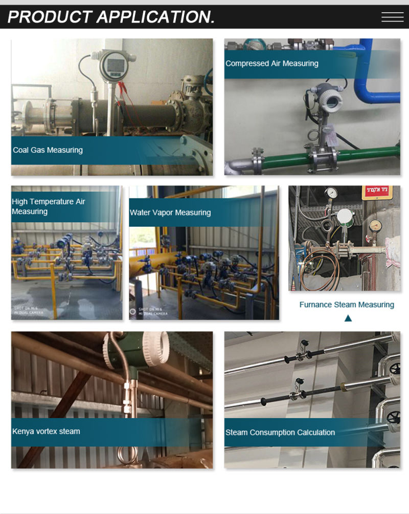 Temperature Compensation Smart Calculation Compressed Air Flowmeter Vortex Compressed Air Flow Meter