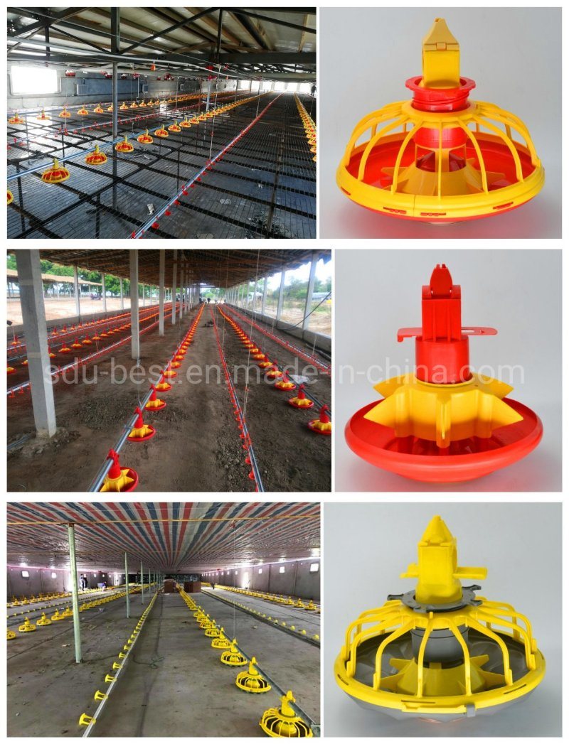 2021 Complete Controlled Automatic Poultry Farm Equipments for Broiler Chicken