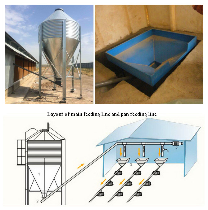 2021 Complete Controlled Automatic Poultry Farm Equipments for Broiler Chicken