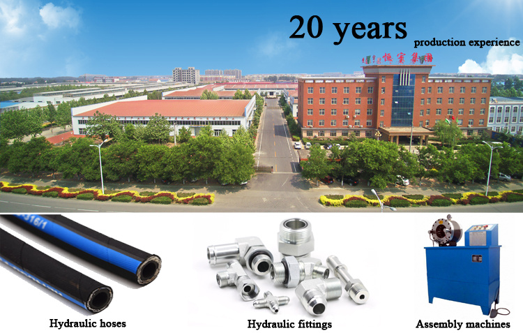 Hebei Dm350 Rubber Hydraulic Hose Cutter