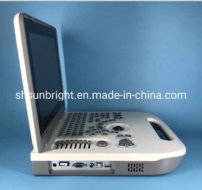 Sun-806g Veterinary Medical Device Sheep Portable-Ultrasound-for-Sheep