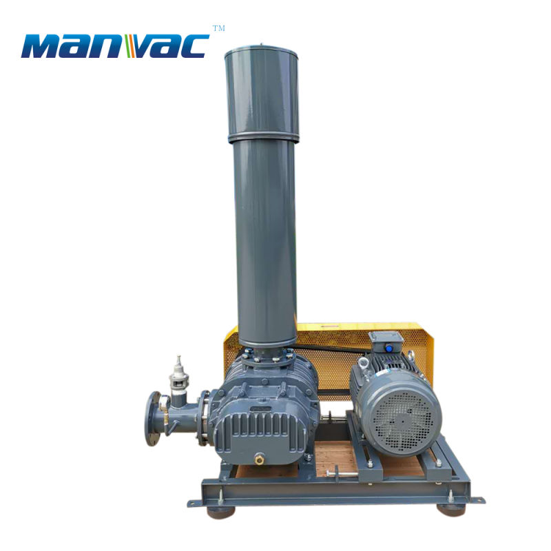 Long Life High Strength Industrial High Pressure Air Cooled Blower