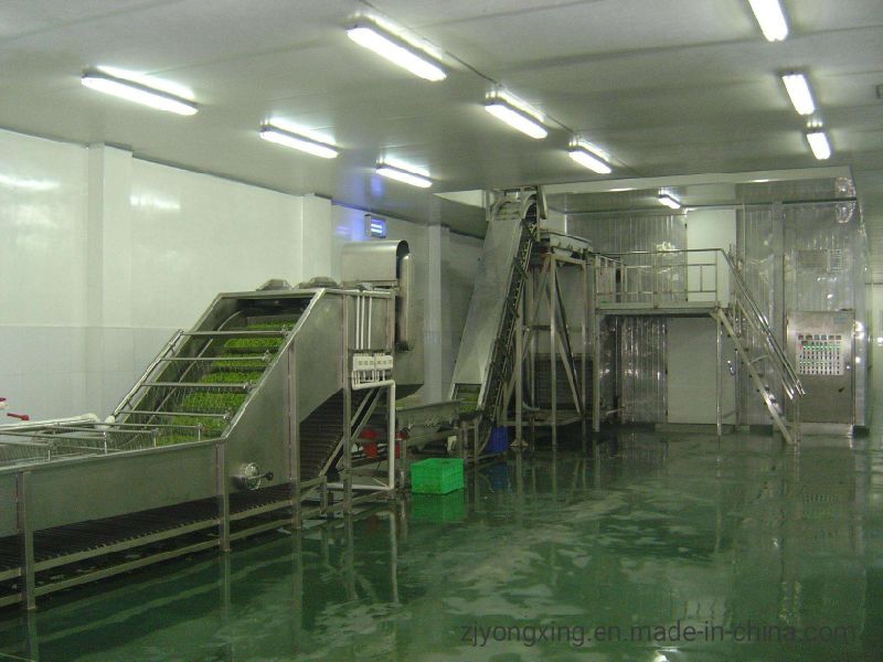 Industrial IQF Blast Freezer Vegetable/Broccoli Freezing Machine IQF Tunnel Blast Freezer/Fluidized Fow Bed Freezer with High Efficiency