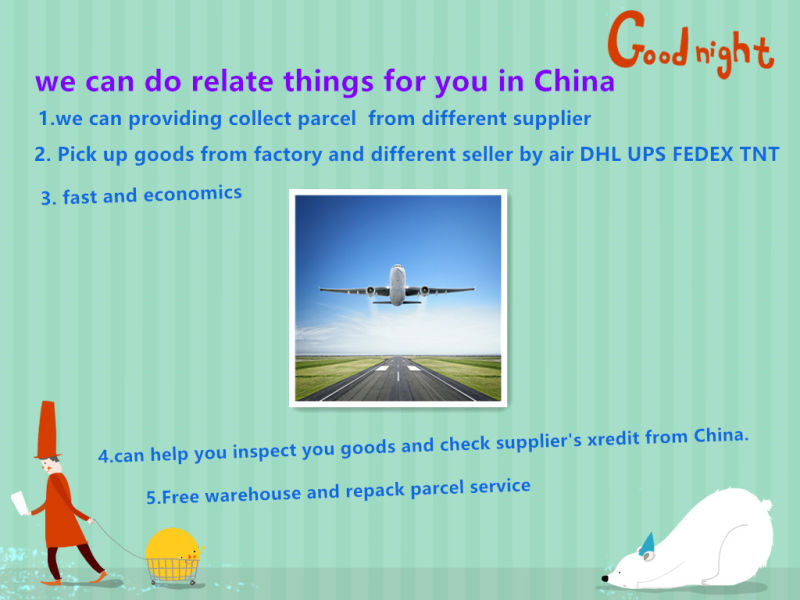 Send to USA by Ek Qr Airport Fast and Cheapest Shipping Agent From China