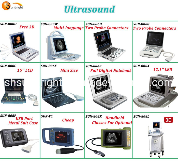 Sun-806g Veterinary Medical Device Sheep Portable-Ultrasound-for-Sheep