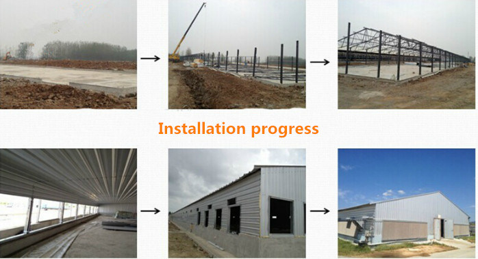 Prefab Steel Chicken House with Environmental Controlled Poultry Equipments