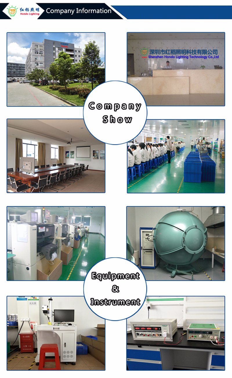 100W LED Explosion Proof High Bay Light