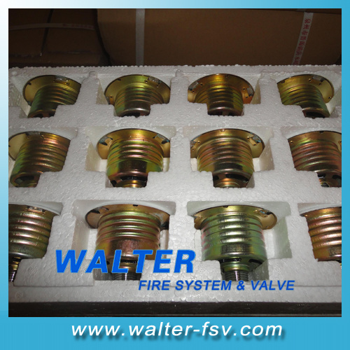 Brass Concealed Fire Sprinklers