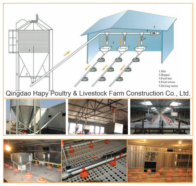 Prefab Steel Chicken House with Environmental Controlled Poultry Equipments