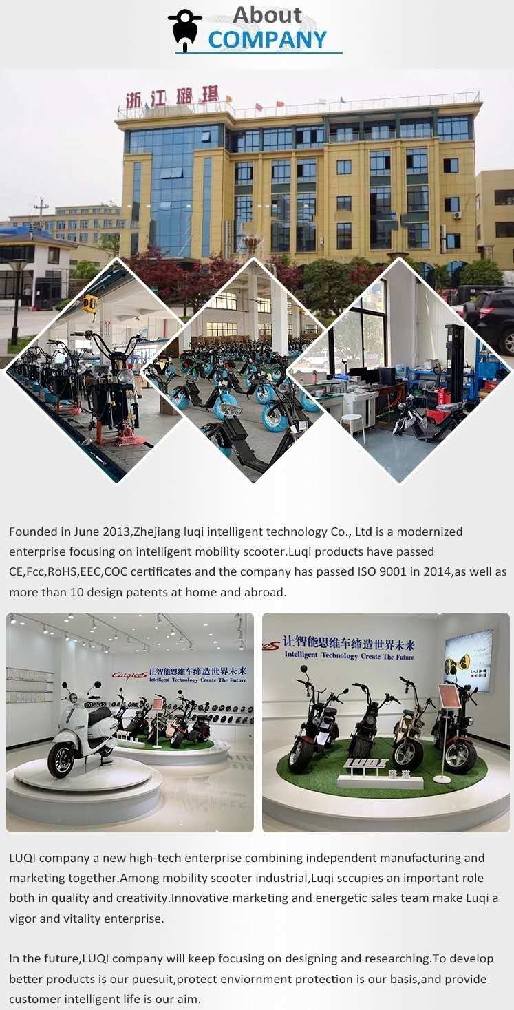 China Best R3 Powerful Coc Electric Mortorcycle for Adults From China Factory