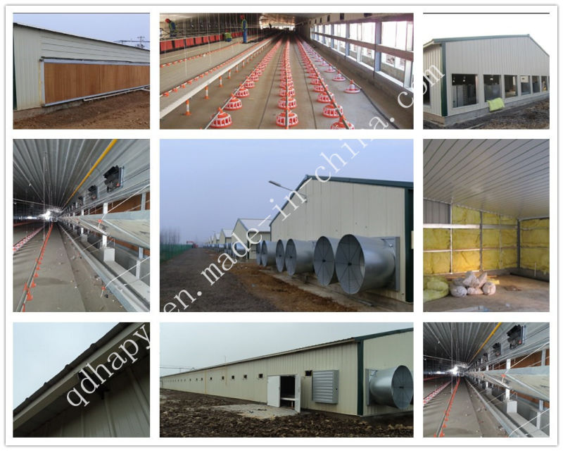 Prebab Chicken Shed with Automatic Controlled Equipments