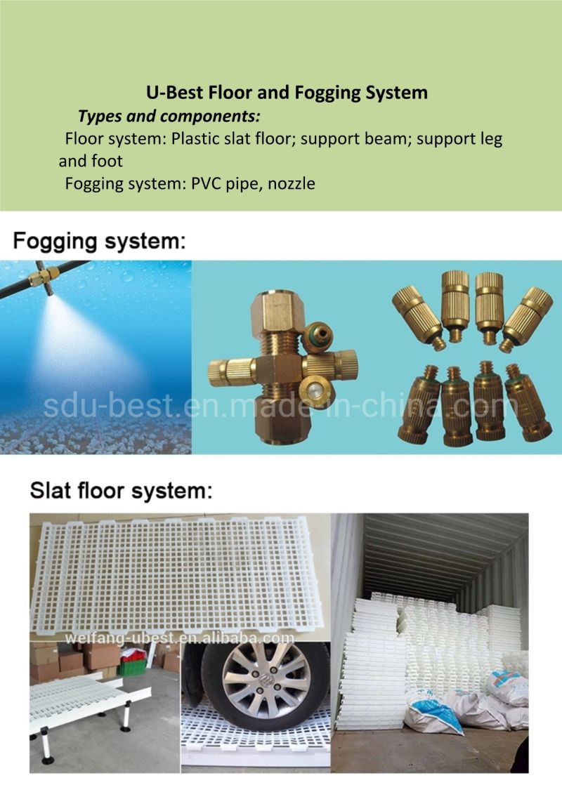 2021 Complete Controlled Automatic Poultry Farm Equipments for Broiler Chicken