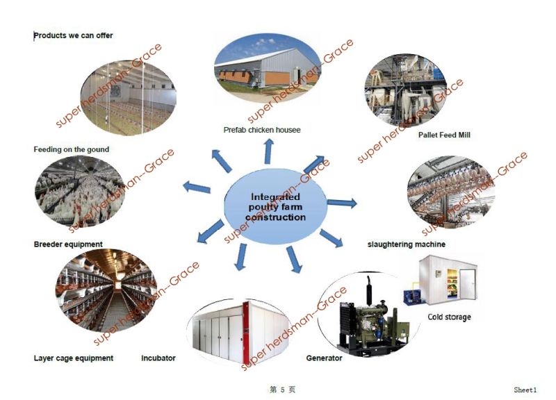 Prebab Chicken Shed with Automatic Controlled Equipments