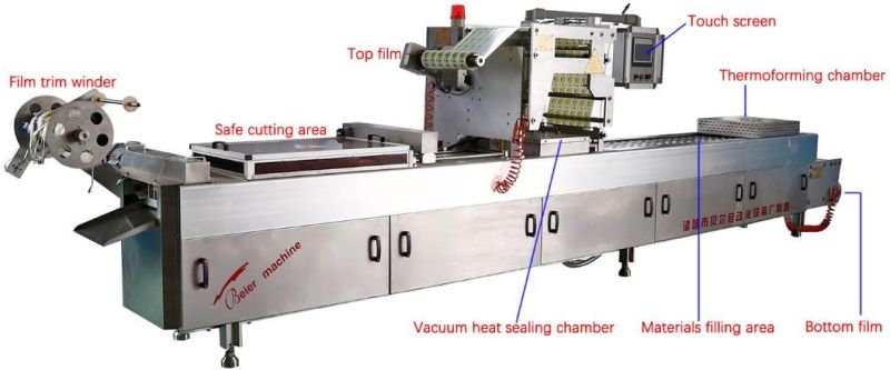 Automatic Tray Making Vacuum & Gas Filling Packing Machine