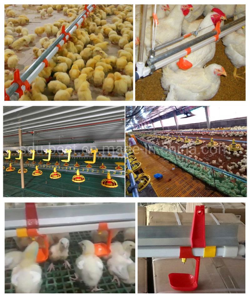 2021 Complete Controlled Automatic Poultry Farm Equipments for Broiler Chicken