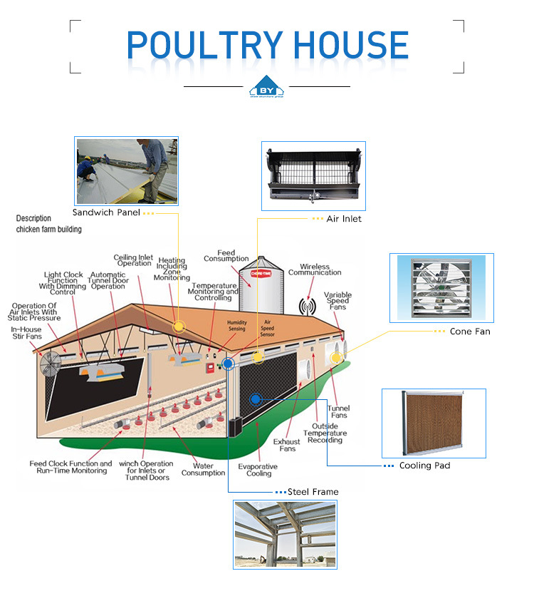 Prebab Chicken Shed with Automatic Controlled Equipments