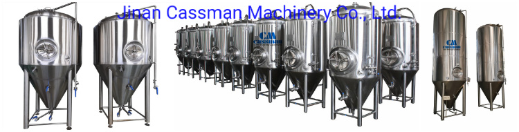 Cassman Factory Supplied SUS3004 500L China Beer Brewery Equipment