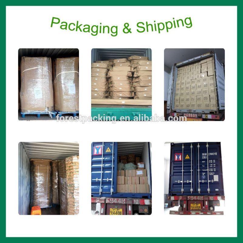 Custom Printing Packaging Box for Electronic Device Packing