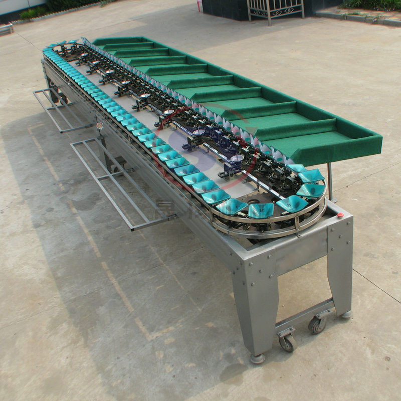 Blueberry Picking Sorting Grading Selecting Sorter Machine with Fruit Picking Paltform